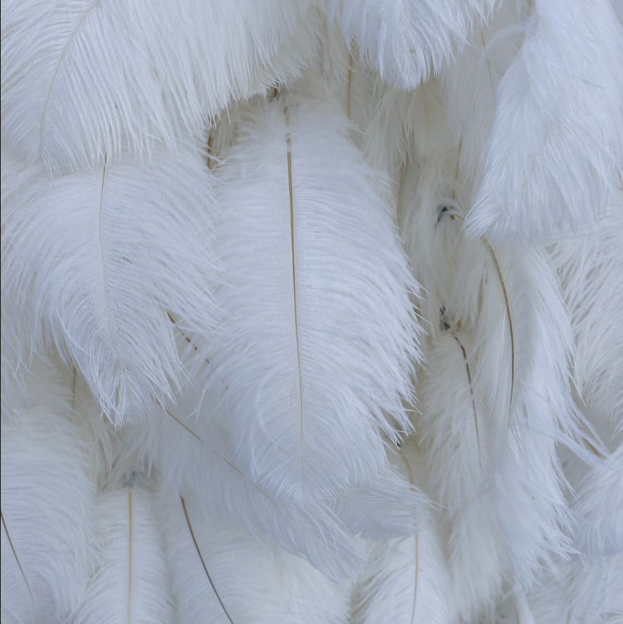 Lightning Deals: 8x8ft Flower Wall White Ostrich Feather Fabric Rolling Up Curtain Floral Backdrop Wedding Party Proposal Decor - KetieStory
