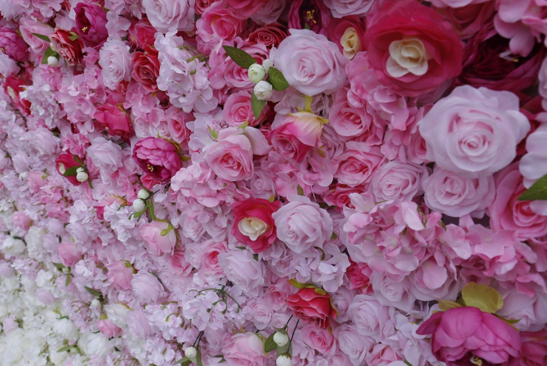 Gradient rose red flower wall looks romantic and loving.