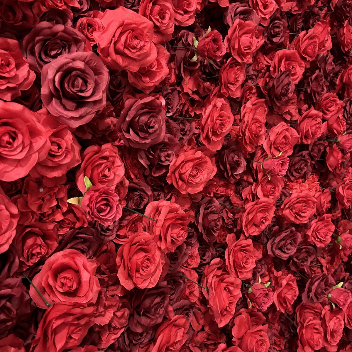 The heart shaped red rose flower wall looks vivid and lifelike.