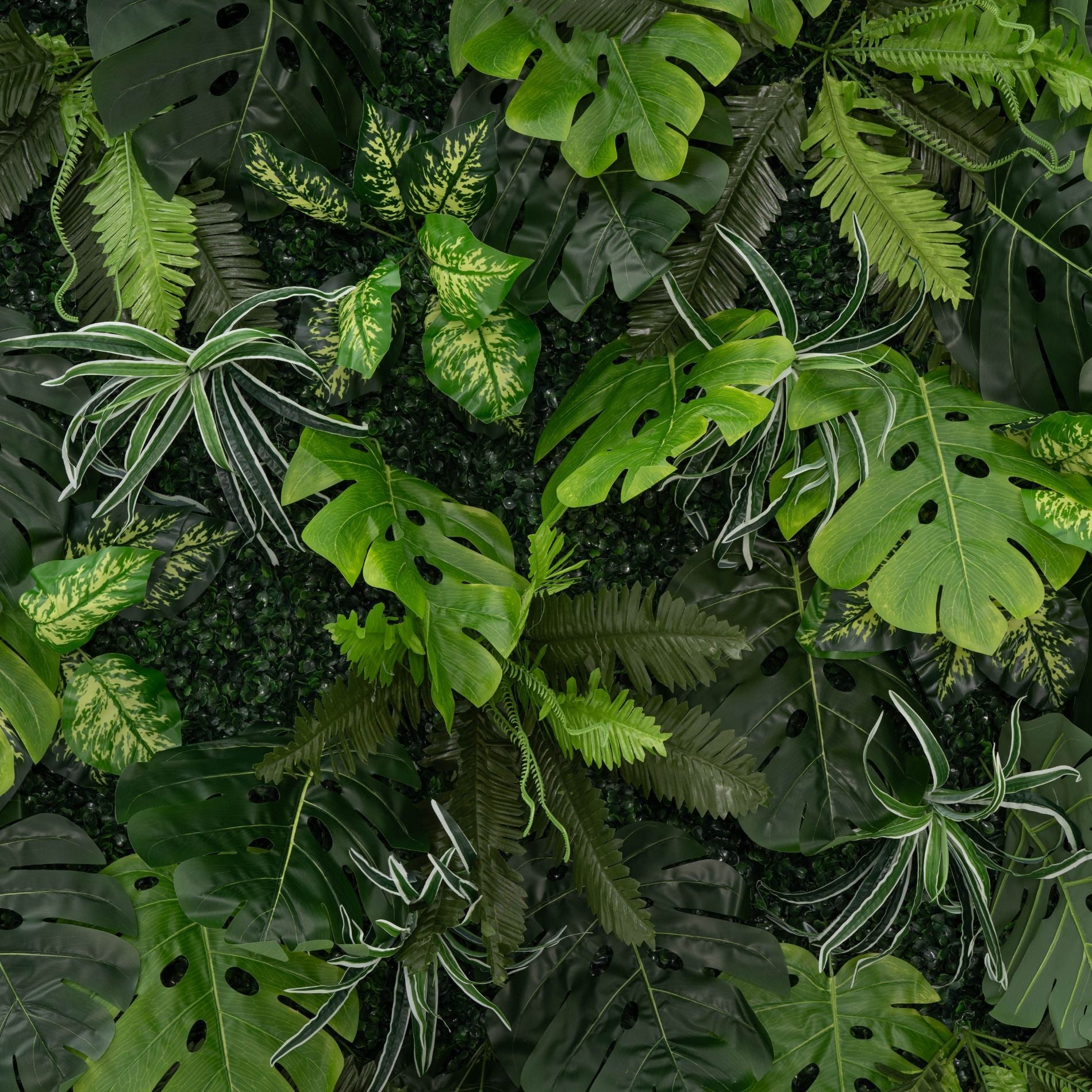 The green tropical leaves flower wall looks full of life.