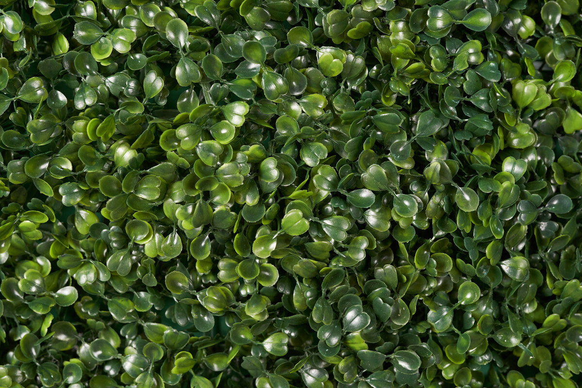 The milan green wall looks full of life.