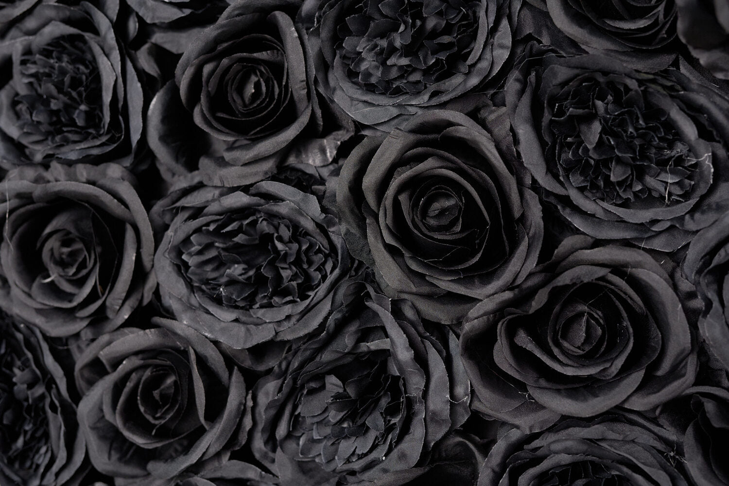 Flower Wall Pure Black Rose Fabric Rolling Up Curtain Floral Backdrop Wedding Party Proposal Decor - KetieStory