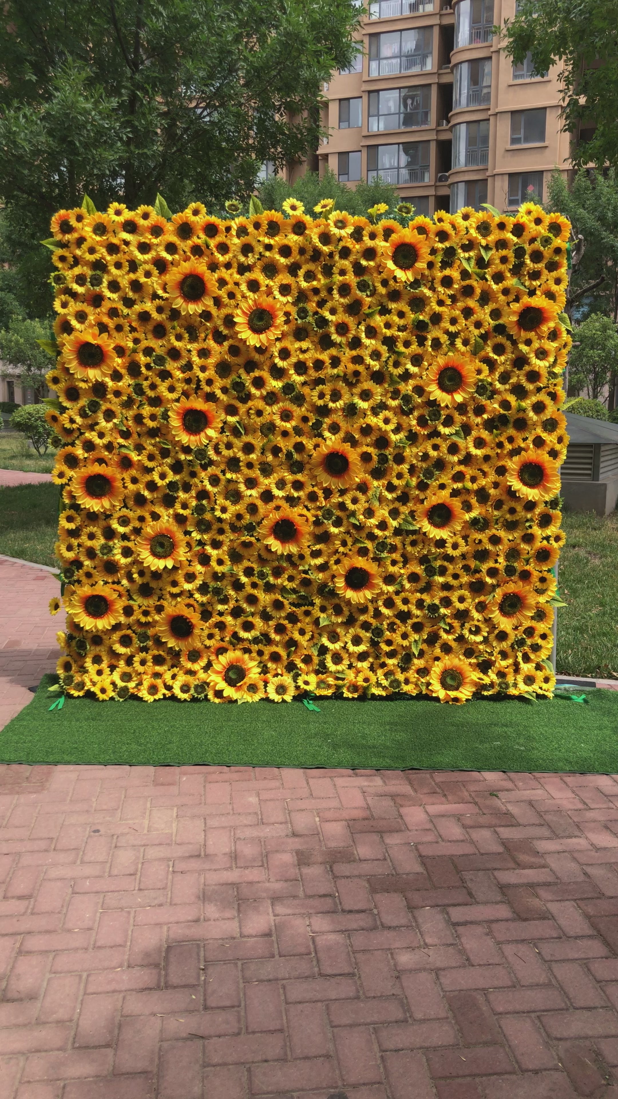 Sunflower flower wall video highlights easy setup, lifelike colors, and reusable design.